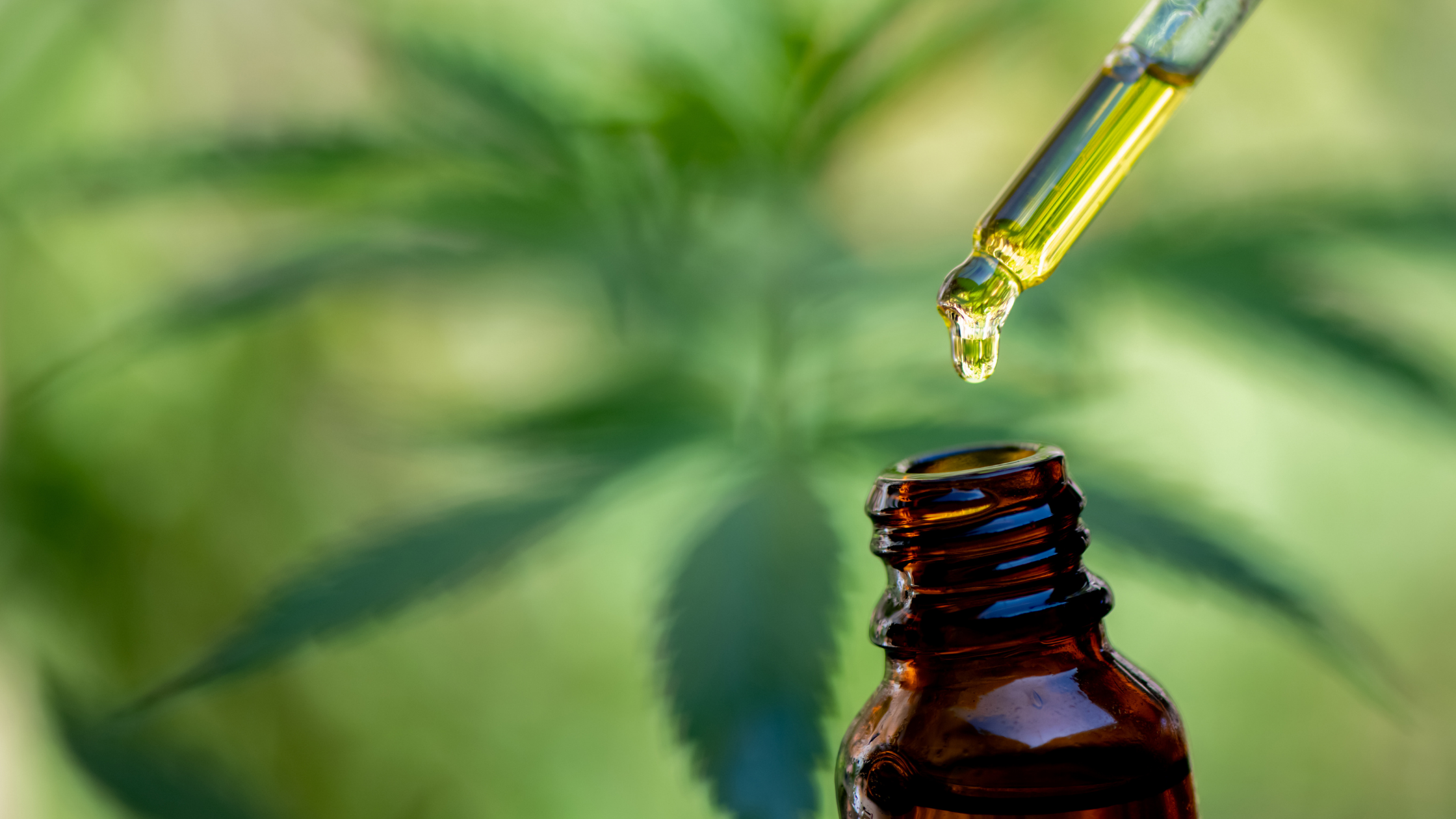Health and Safety of CBD in the Workplace